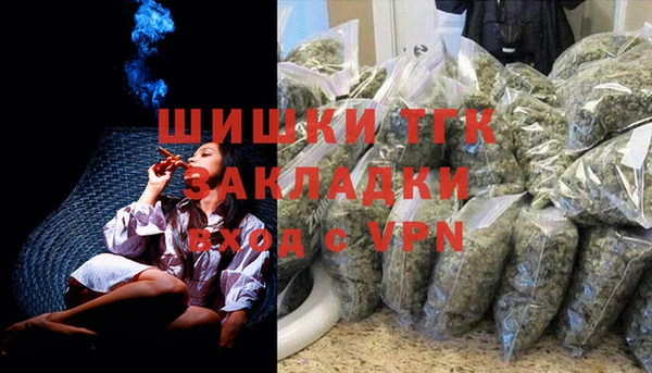 сатива Балахна