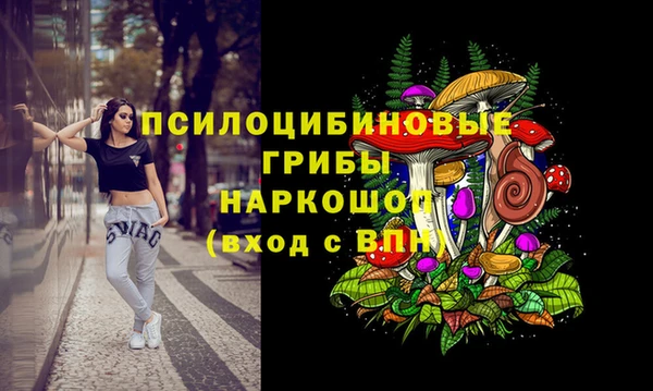 сатива Балахна