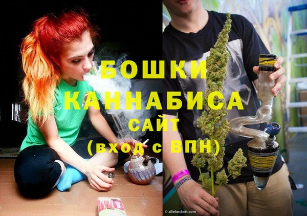 сатива Балахна