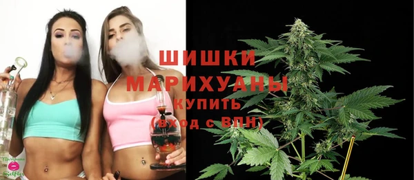 сатива Балахна
