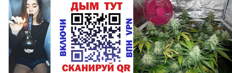 Марихуана сатива  Печора 